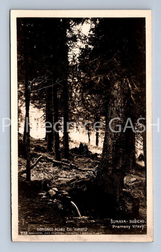 Pohlednice ŠUMAVA, SUŠICKO (x17784)