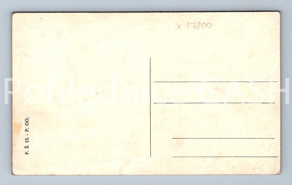 Pohlednice NÁCHOD (x17800)