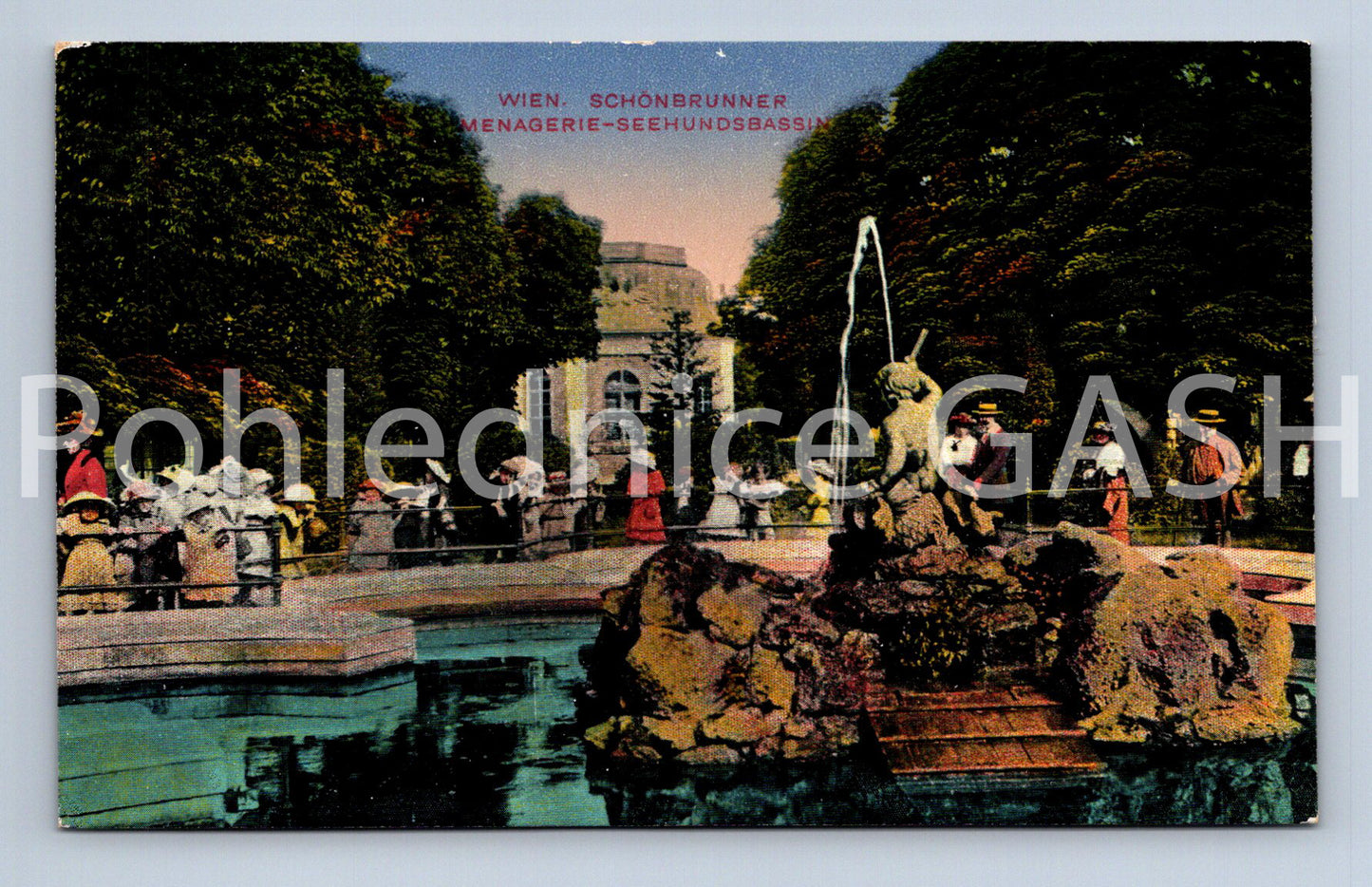 Pohlednice VÍDEŇ, SCHÖNBRUNNER MENAGERIE - SEEHUNDSBASSIN (x17834)