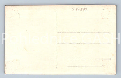 Pohlednice ČESKÝ LES (x17872)