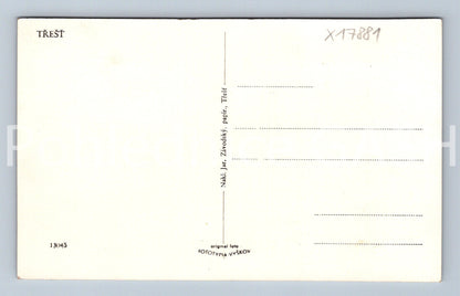 Pohlednice TŘEŠŤ (x17881)