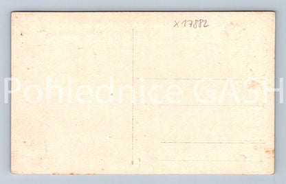 Postcard BOSCH FOREST (x17882)