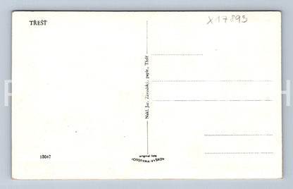 Pohlednice TŘEŠŤ (x17893)