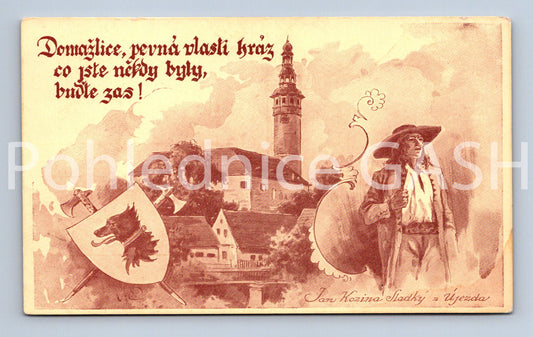 Pohlednice DOMAŽLICE (ST11373)