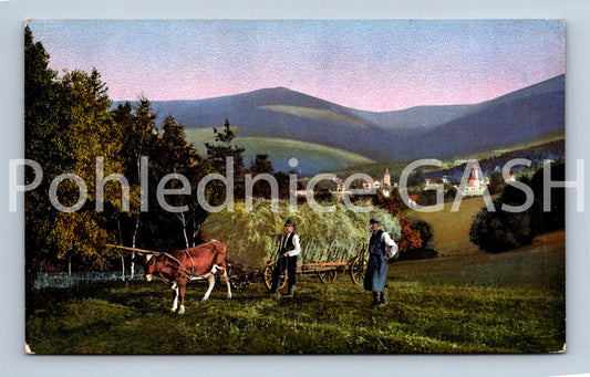 Pohlednice RIESENGEBIRGE (ST11427)