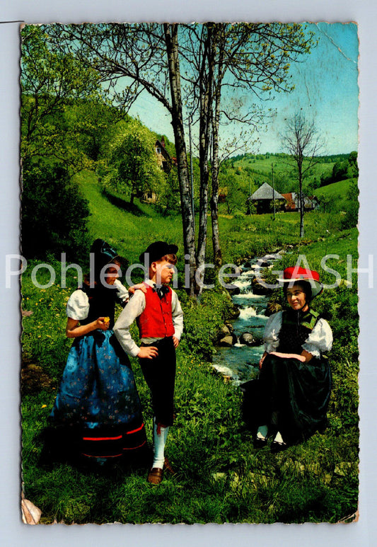 Pohlednice M. SCHWARZWALD (ST11468)