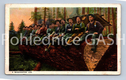 Pohlednice A. WASHINGTON LOG. (ST11588)