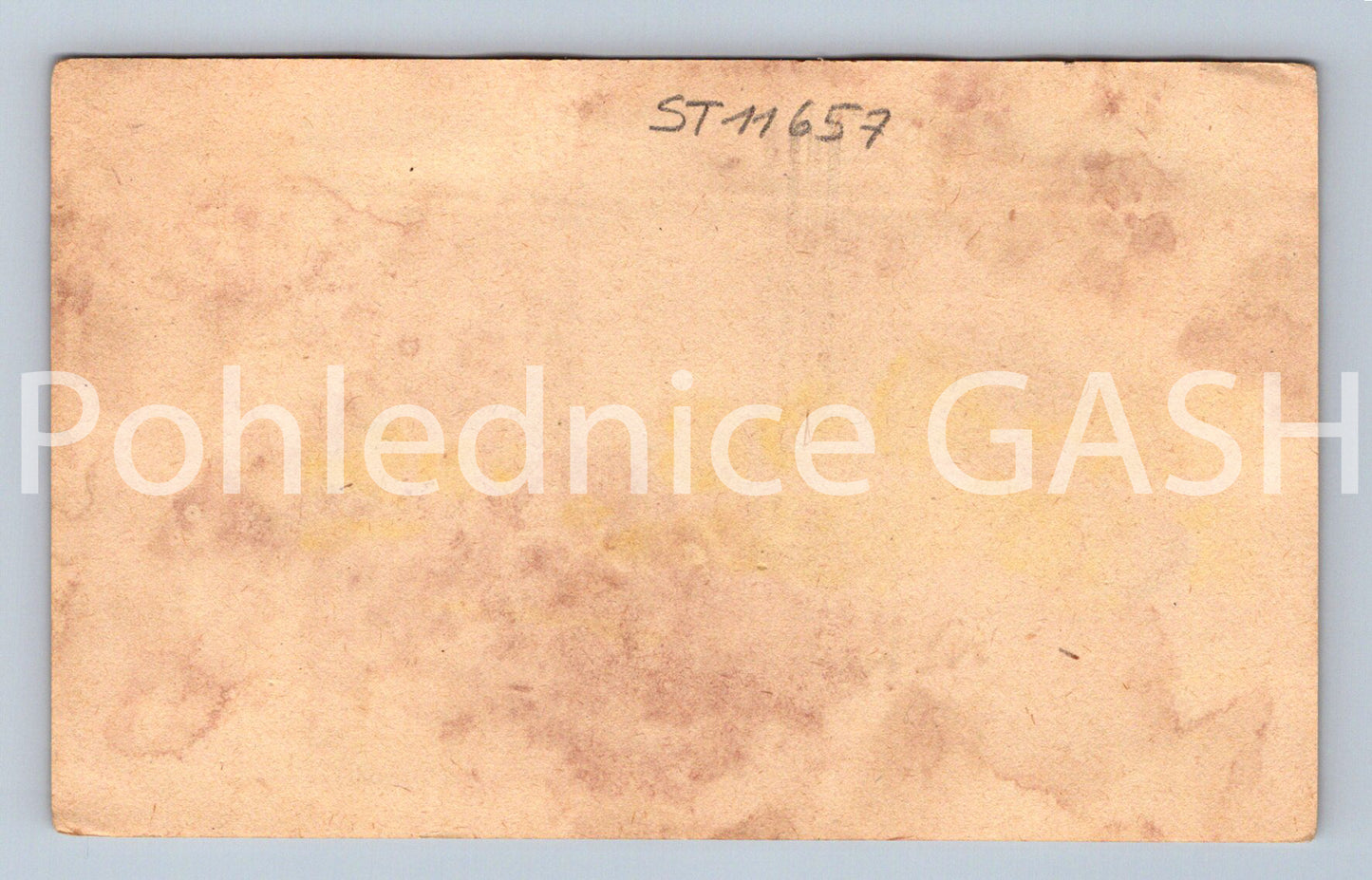 Pohlednice N. VERECZKE (ST11657)