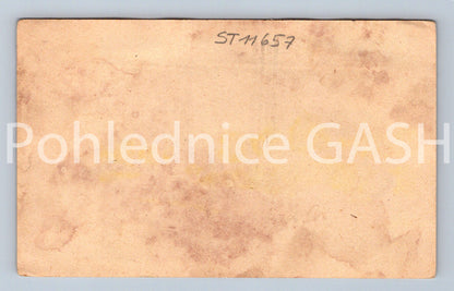 Pohlednice N. VERECZKE (ST11657)