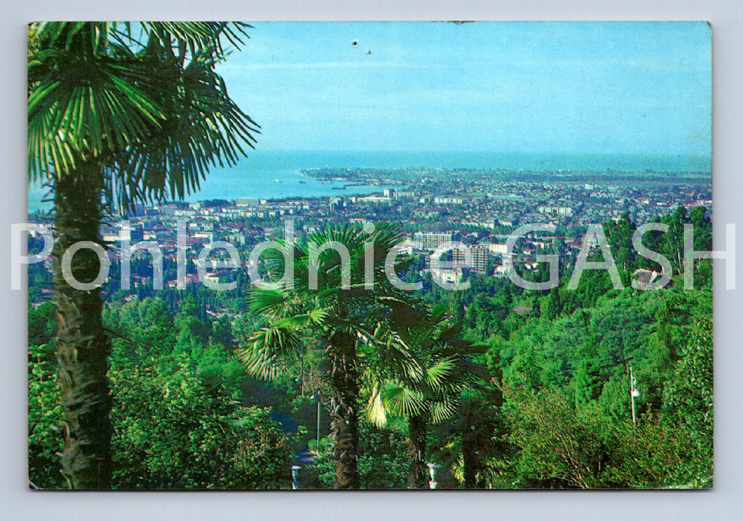Pohlednice ACCP (ST11665)
