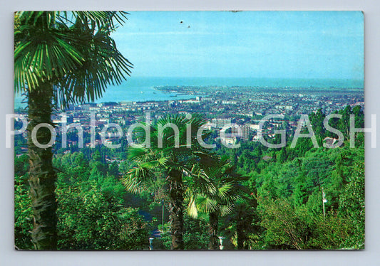 Pohlednice ACCP (ST11665)