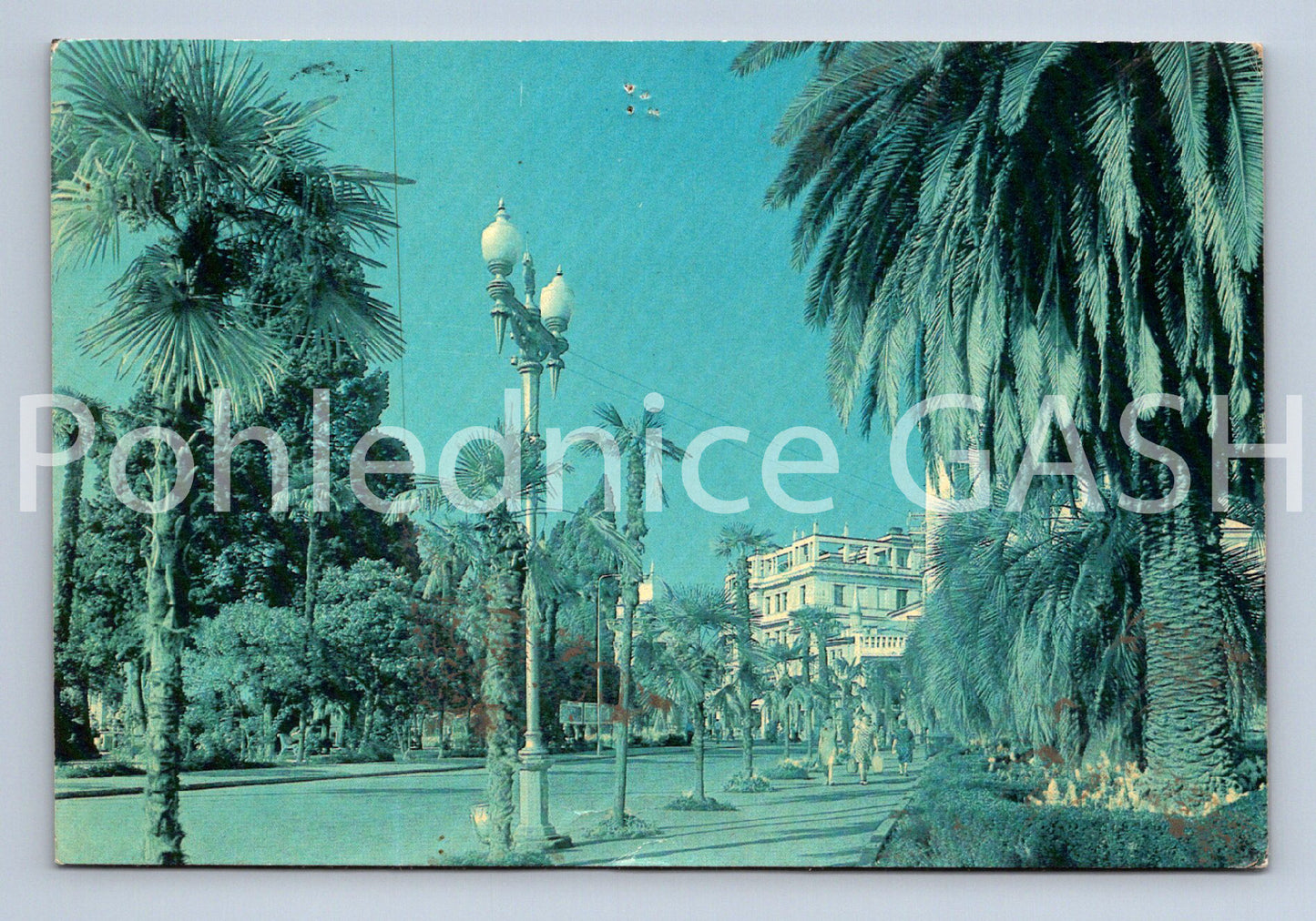 Pohlednice ACCP (ST11666)
