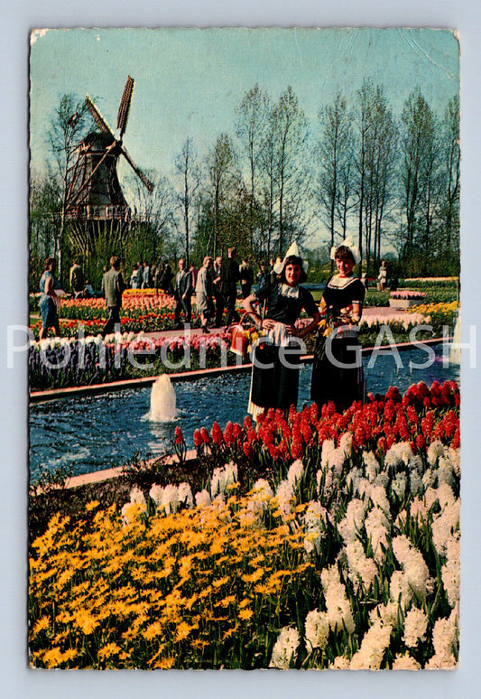 Pohlednice HOLLAND (ST11667)