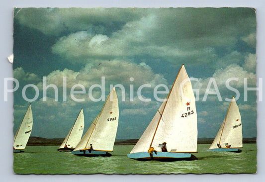 Pohlednice LAKE BALATON (ST11671)
