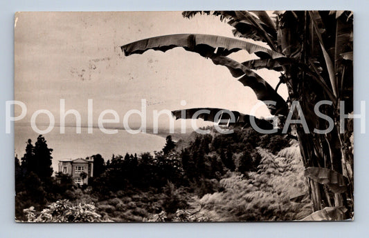 Pohlednice CCCP (ST11704)