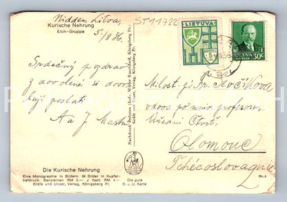 Pohlednice KURISCHE NEHRUNG (ST11722)