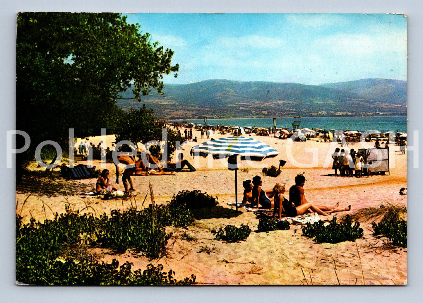 Pohlednice CCCP (ST11773)