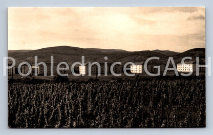 Pohlednice PENZINOK (ST12493)