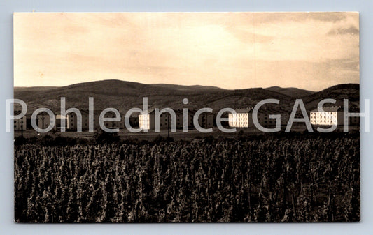 Pohlednice PENZINOK (ST12493)