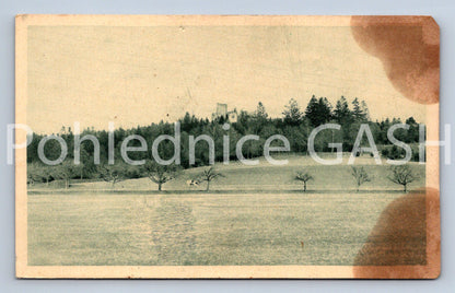 Pohlednice CHOUSTNÍK (ST12525)