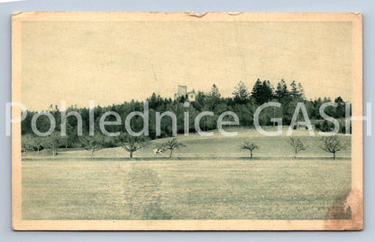 Pohlednice CHOUSTNÍK (ST12526)