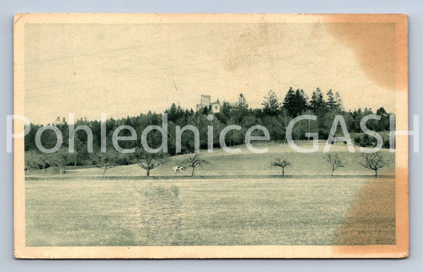 Pohlednice CHOUSTNÍK (ST12527)