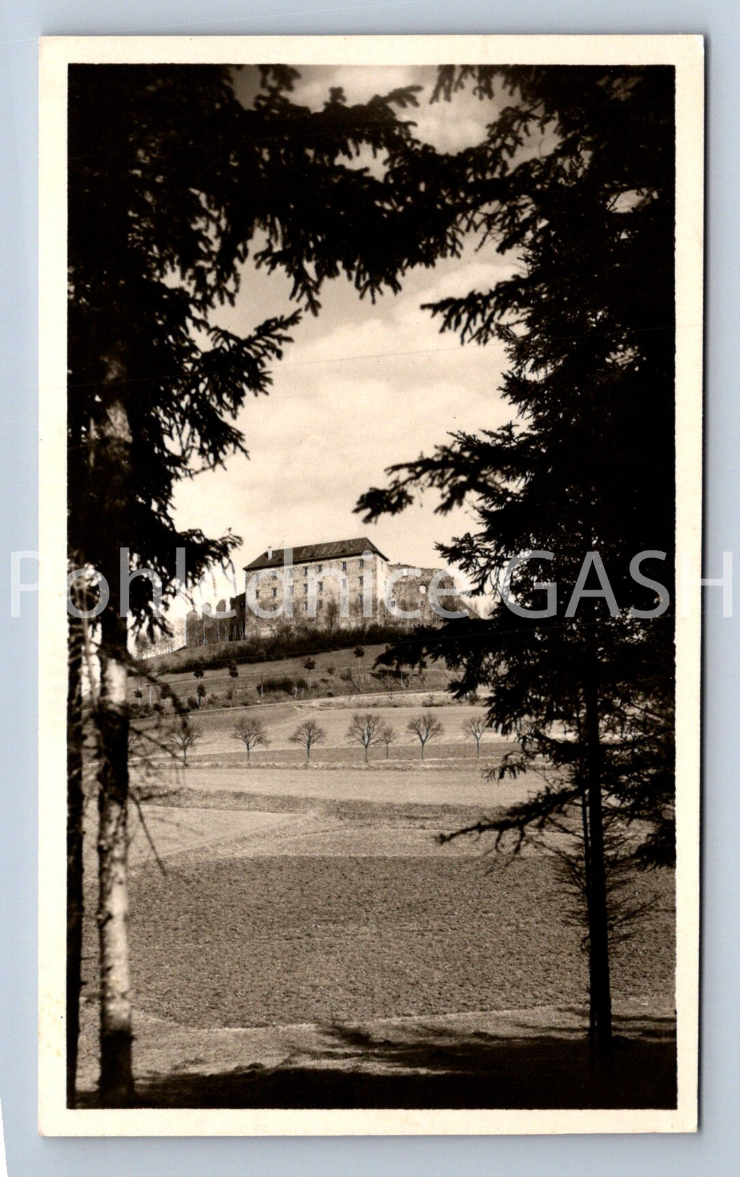 Pohlednice HRAD PECKA (ST12602)