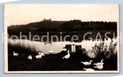 Postcard BOHEMIAN PARADISE - RUINS (ST12626)