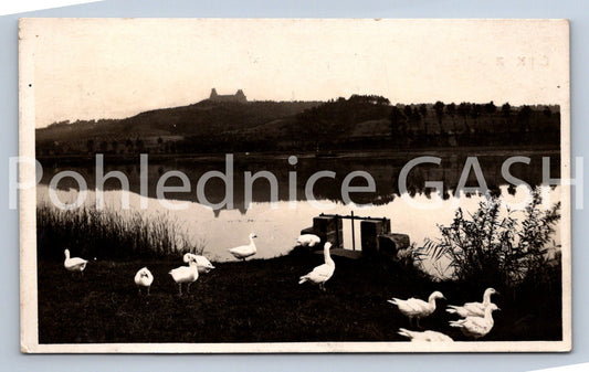 Postcard BOHEMIAN PARADISE - RUINS (ST12626)