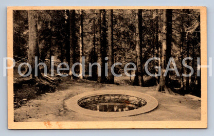 Pohlednice ŠUMAVA (ST12630)