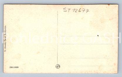 Pohlednice ČESKÉ BUDĚJOVICE (ST12677)