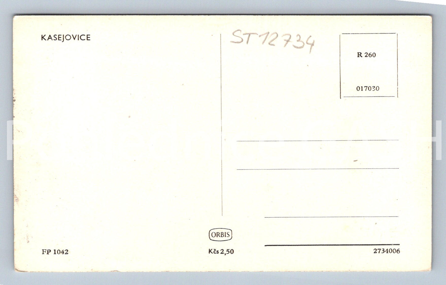 Pohlednice KASEJOVICE (ST12734)