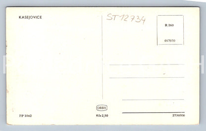Pohlednice KASEJOVICE (ST12734)