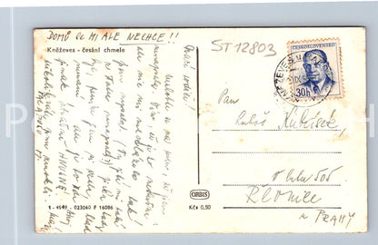 Pohlednice KNĚŽEVES (ST12803)
