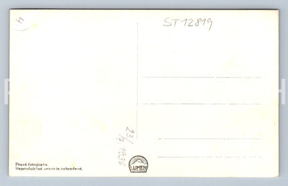 Pohlednice OZDRAVOVNA - LIPT. HRADOK (ST12819)