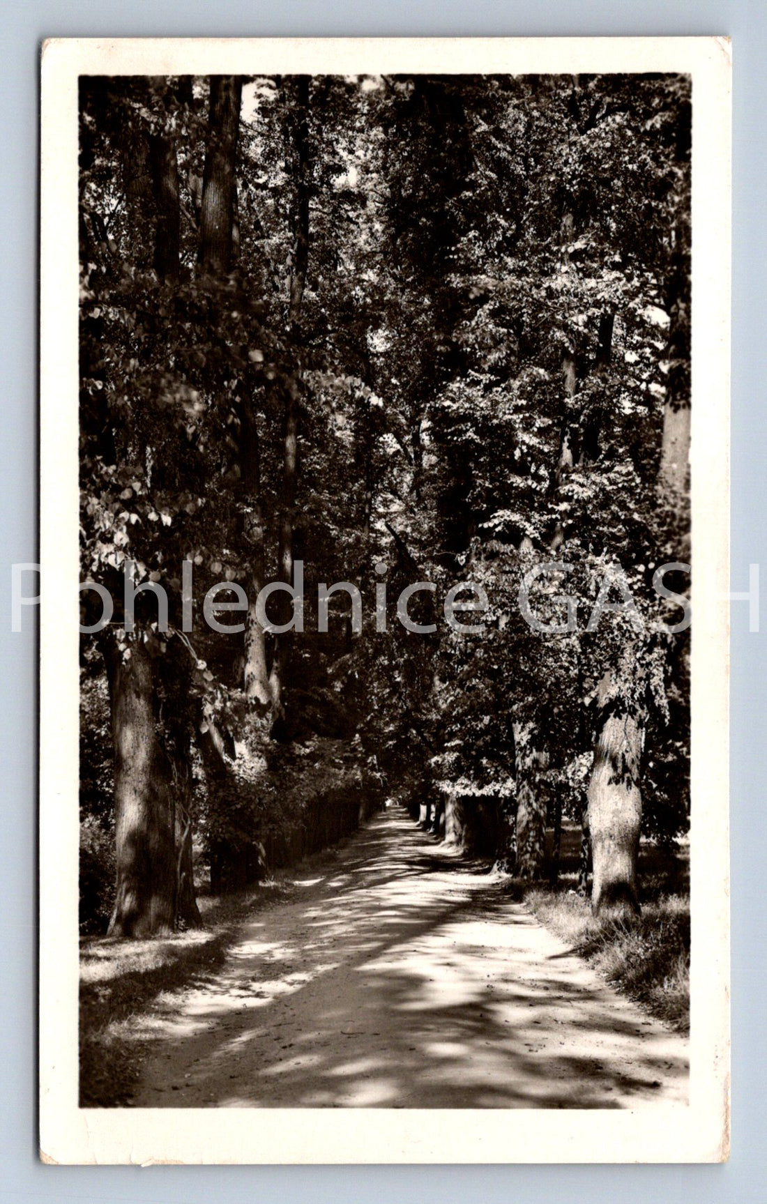 Pohlednice CHOCEŇ (ST12826)