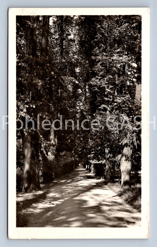 Pohlednice CHOCEŇ (ST12826)