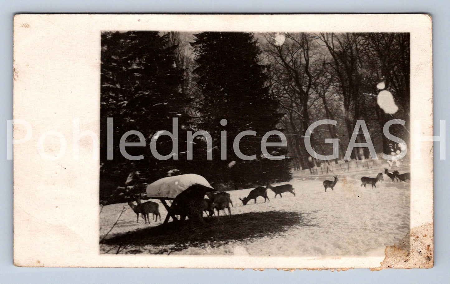 Postcard LIPOCHOVICE (ST12885)