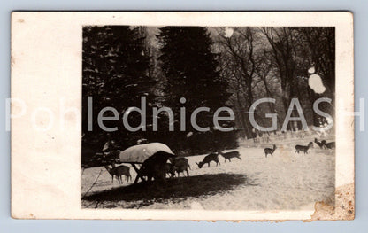 Postcard LIPOCHOVICE (ST12885)