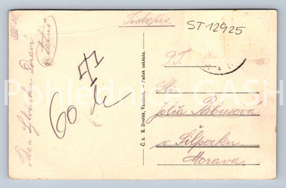 Postcard POSTMAN (ST12925)