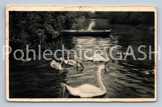 Pohlednice PRAHA (ST12941)