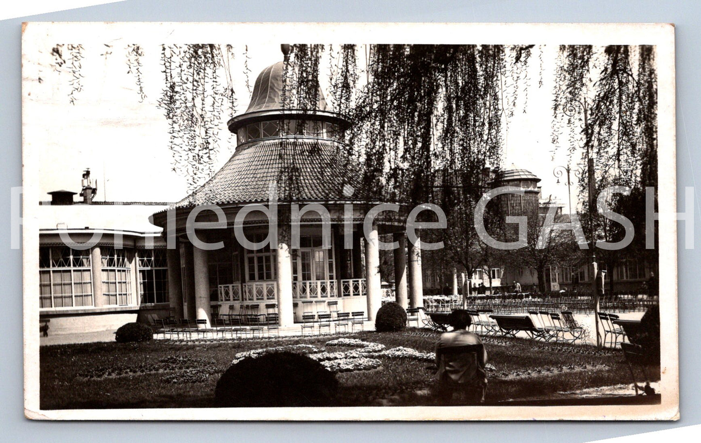 Pohlednice LÁZNĚ PODĚBRADY (ST12969)