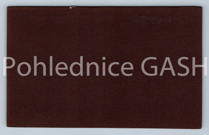 Pohlednice PRAHA (ST13018)