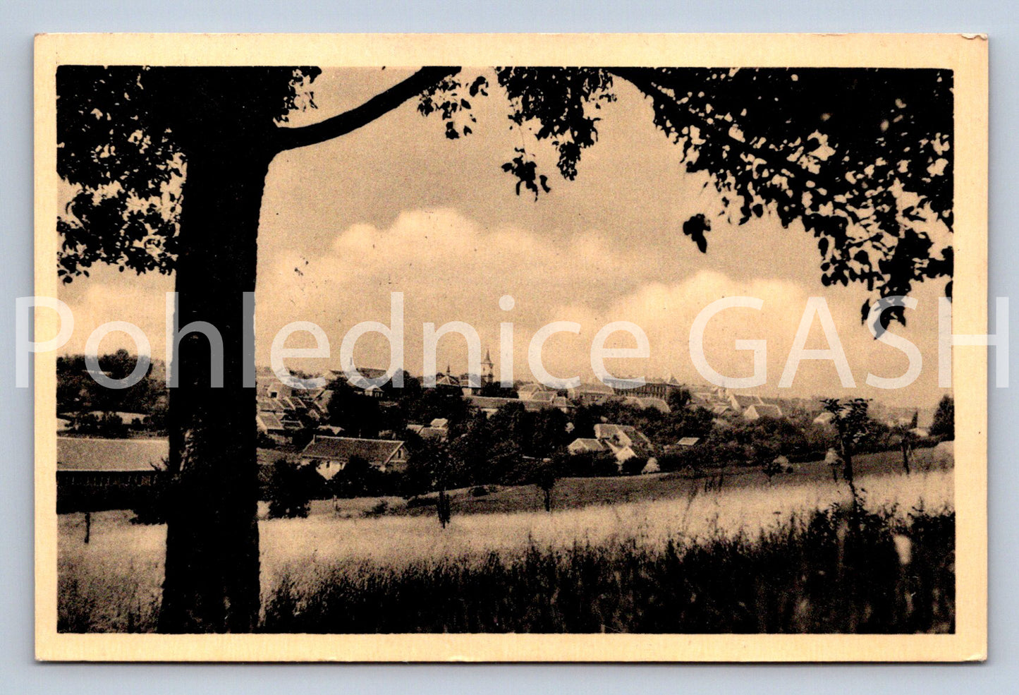 Pohlednice NOVÉ STRAŠECÍ (ST13070)