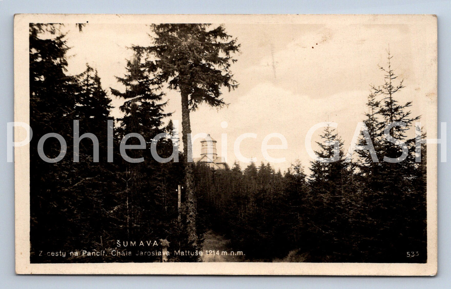 Pohlednice ŠUMAVA (ST13075)