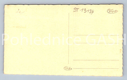 Pohlednice TÁBOR (ST13134)