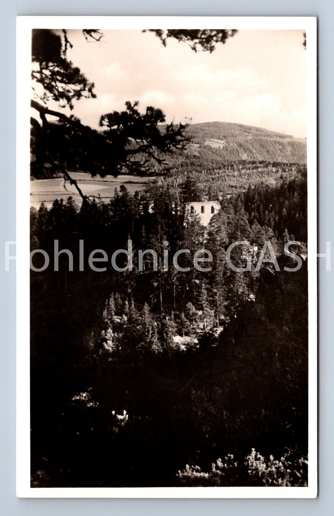 Pohlednice ŠUMAVA (ST13161)