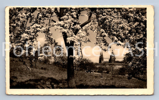 Pohlednice PRAHA (ST13205)