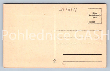 Pohlednice RIESENGEBIRGE (ST13211)