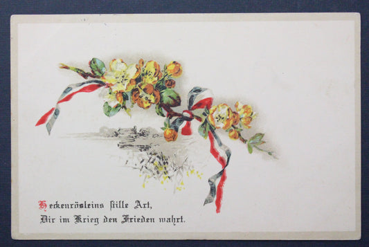 Stará válečná pohlednice 1916
